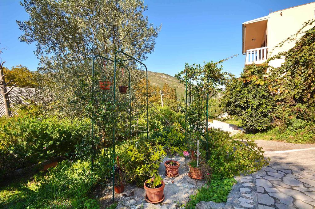Apartment Rita Tivat Kültér fotó